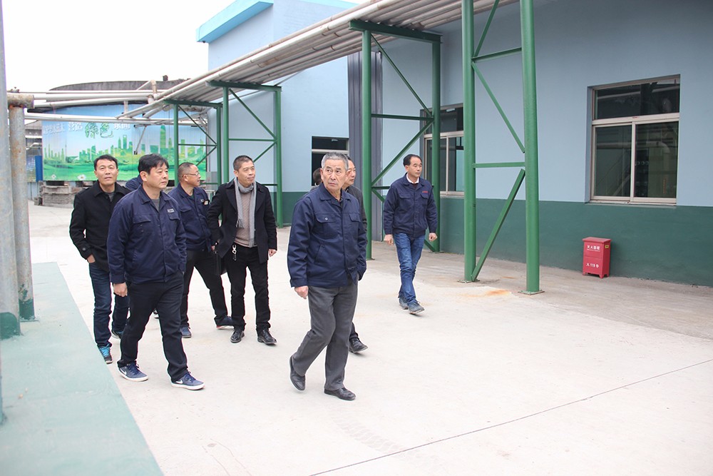 1514171656679742.jpg 與會人員走在華聯(lián)紙業(yè)廠區(qū).JPG