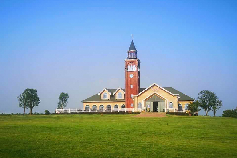 1599266028926585.jpg 巴夫洛1.jpg